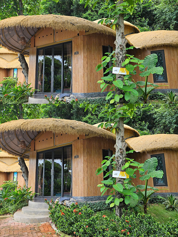 Bungalow 2 phòng 101- 01A (2 giường & 1 wc)